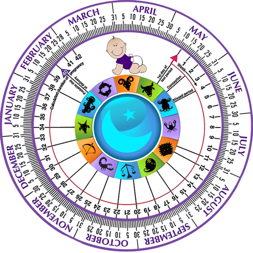 Pregnancy Wheel HD app icon