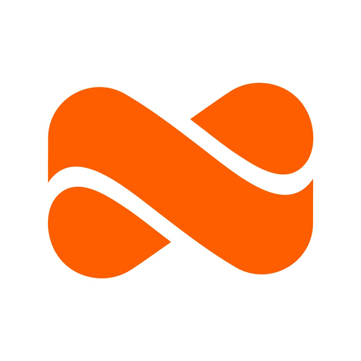 Netspend app icon