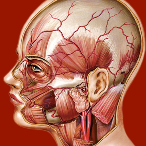 Atlante di Anatomia app icon