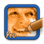 SketchMee Pro icon