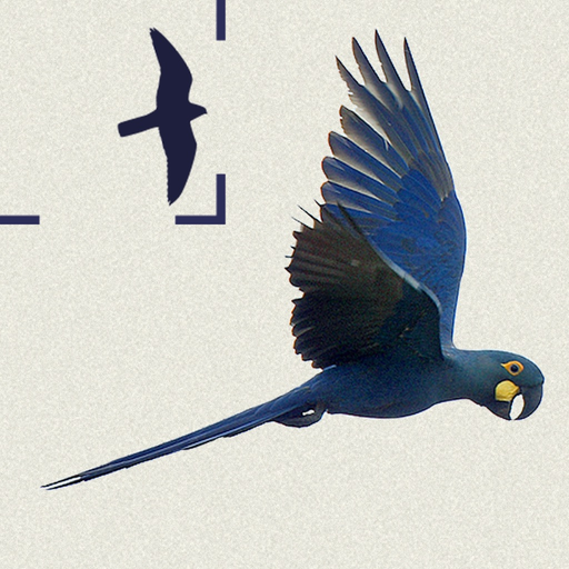 Birds of Brazil app icon