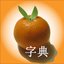 Mandarin icon