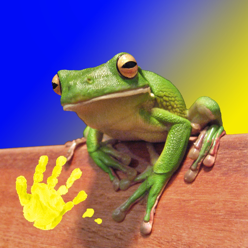 Play & Learn Animal Flashcards app icon