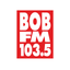 BOB-FM Austin icon