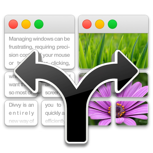 Divvy - Window Manager app icon
