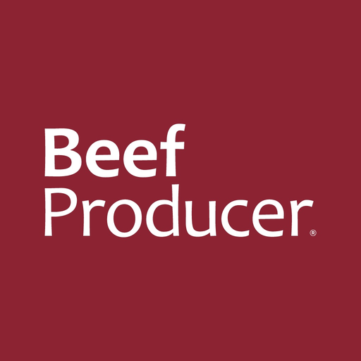 Beef Producer app icon