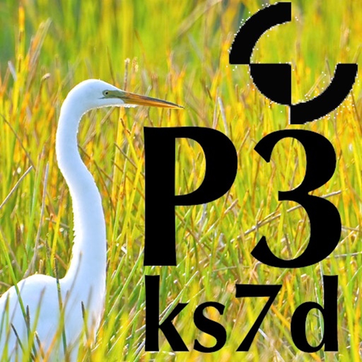 P3 Micro Manual app icon