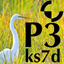 P3 Micro Manual icon