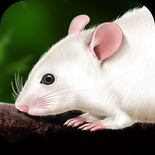 Rat Dissection app icon