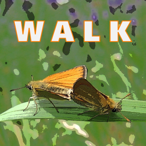 Walk Wild-Essex app icon