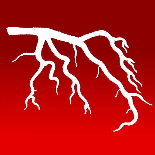 CathSource app icon