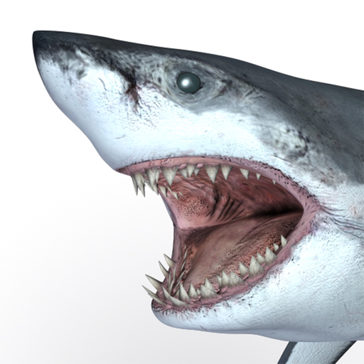 Talking Great White : My Pet Shark app icon