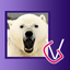 Album Polar Bears HD icon