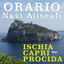 OrarioNavi icon