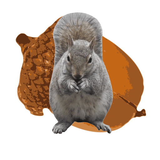 Cracked Nut app icon