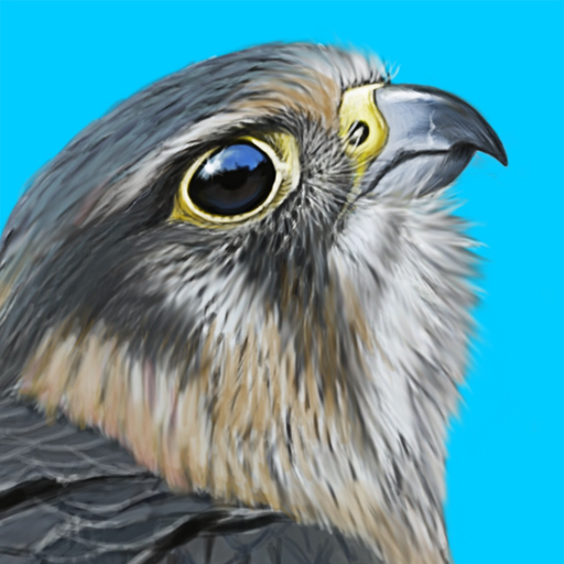 iBird UK Pro Guide to Birds app icon