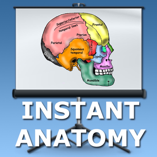 Anatomy Lectures Head and Neck app icon