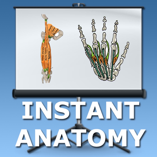 Anatomy Lectures Limbs app icon