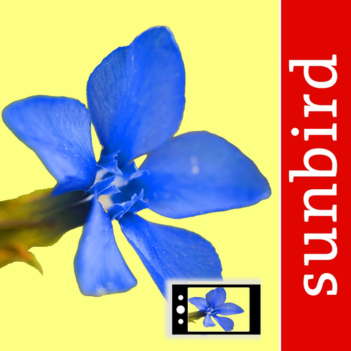 Alpenblumen Id Automatik app icon
