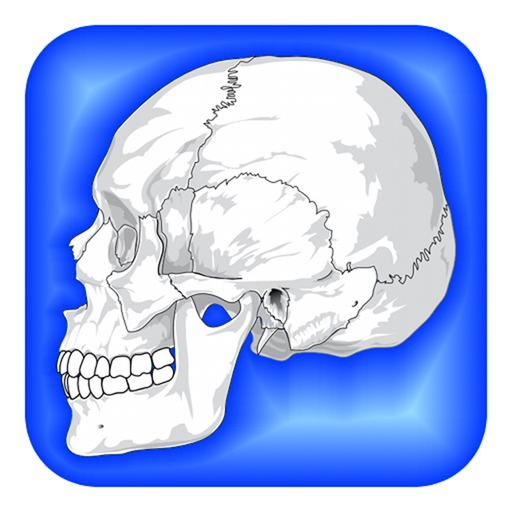 Human Body Facts 1000 Fun Quiz app icon