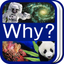 Why? 과학 icon