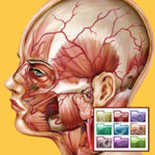 Atlante di Anatomia-Sezioni app icon