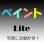 Paint Lite icon