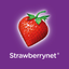 Strawberrynet- Beauty Shopping icon