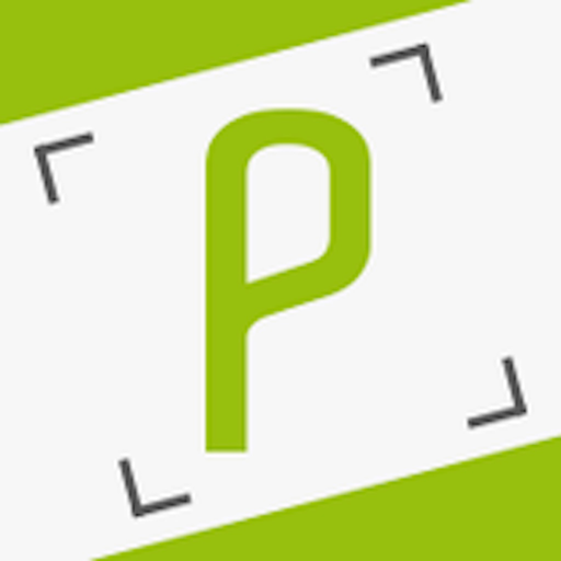 PlainPay app icon