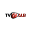 TVALB: Albanian Live TV icon