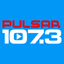 Pulsar FM icon