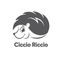 Ciccio Riccio icon