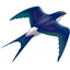 ShareMate icon