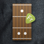 Fretter - Chordfinder Lite icon