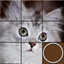 Sliding Puzzles icon