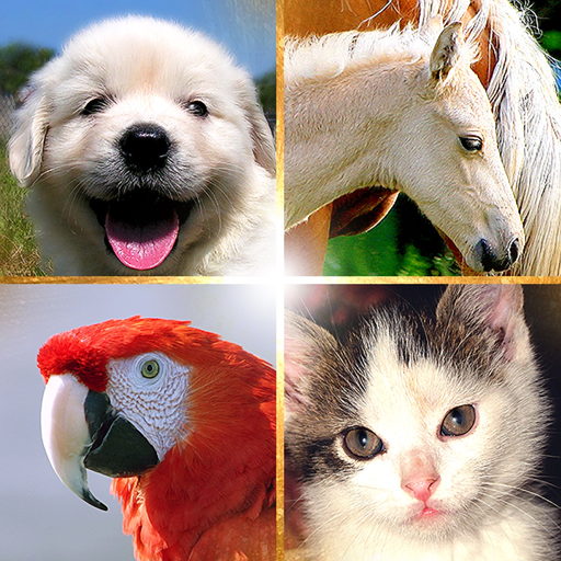 Cute Pets Slideshow & Wallpapers (HD) app icon