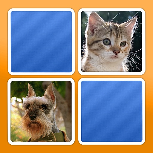 Match HD app icon