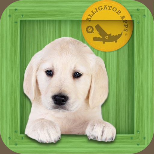 Animal Zoo - Flash Cards & Games app icon