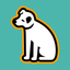 Logo Quizz icon
