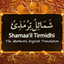 Tirmidhi icon