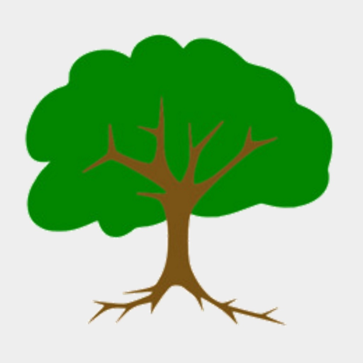 Pro Football Coaching Tree app icon