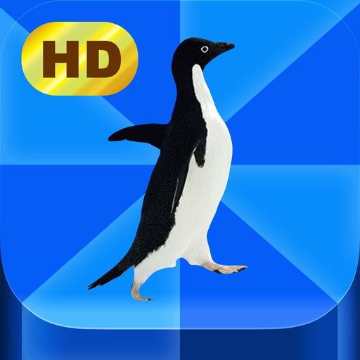 Meme Pics HD app icon