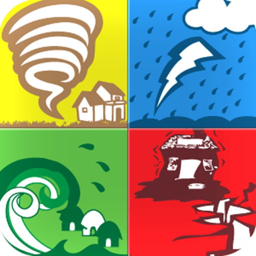 Disaster ID app icon