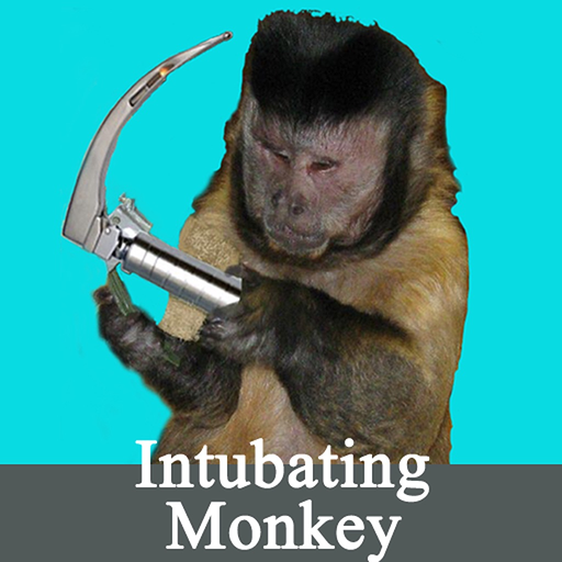 Intubating Monkey app icon