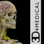 Brain & Nervous System Pro III icon
