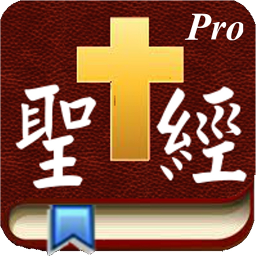 Handy Bible Chinese Pro 隨手讀聖經 app icon