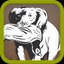 Gundog training icon