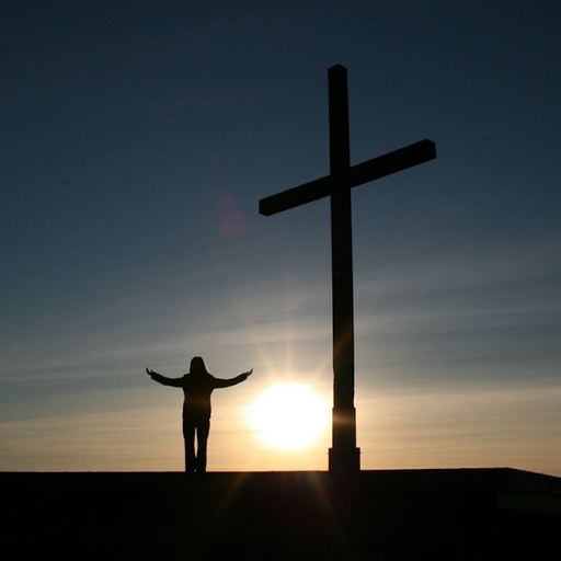 DailyBibleVerses app icon
