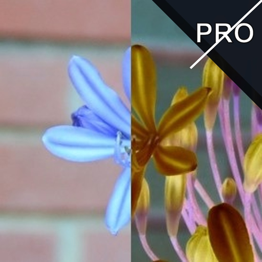 Negative Me Pro app icon