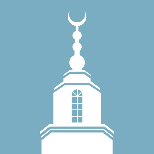 BISApp app icon